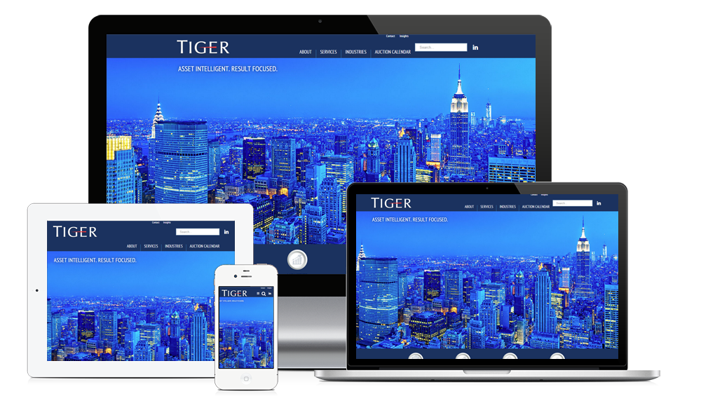 You are currently viewing Asset Management Website for Tiger Group